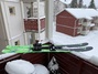 Fischer Ranger 98 längd 188 All mountain skidor säljes
