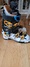 Scarpa Maestrale RS 26.0 Pjäxor / Boots säljes