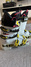Juniorpjäxor Head Raptor 90 RS Pjäxor / Boots säljes