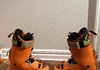 Tecnica cochise 130 Pjäxor / Boots säljes
