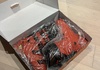 Tecnica Cochise 130 Dyn - 29,5 Pjäxor / Boots säljes