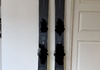 Rossignol Sender 106 Ti+ All mountain skidor säljes