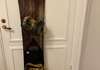 GNU Essential Service 154 (gamla Müller/Müllair) + Union Atlas (M) Snowboard säljes