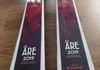 Head Åre2019 race skida + FF14 bindning Pistskidor säljes