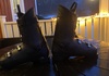 Atomic hawk  Pjäxor / Boots säljes