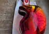 Oakley Flight deck M Goggles säljes