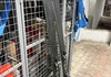 Head Kore 105, 189 cm med Dynafit Beast 14 och stighudar Topptursskidor säljes