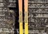 Faction Prodigy 2 25/26 182cm All mountain skidor säljes