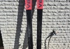 Völkl Mantra V-Werks 178 cm med Salomon Shift-bindning &amp; stighudar! Topptursskidor säljes