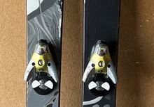 Hendryx skis janis