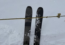 Line Vision 118 2023