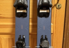 Salomon Strive 12 GW