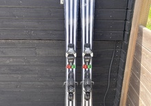 Salomon Depart 1.0 Salomon Warden 13 Demo