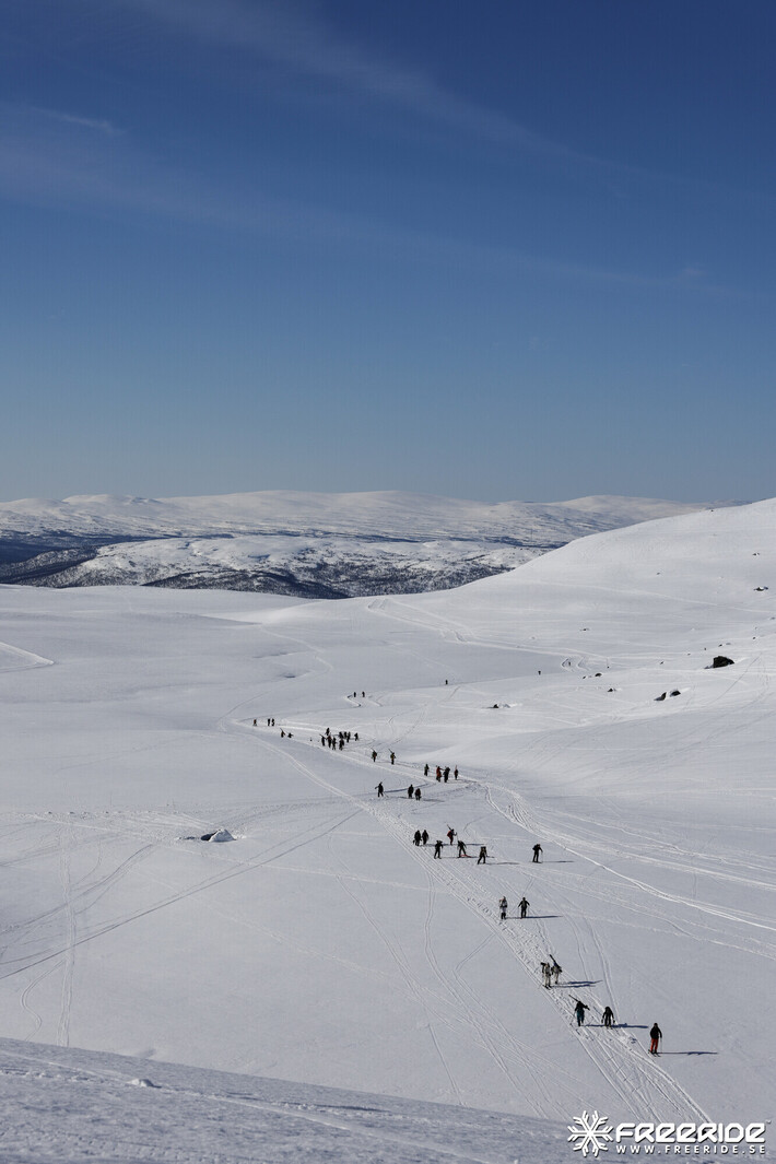 Bild från Ride the Cow 2026