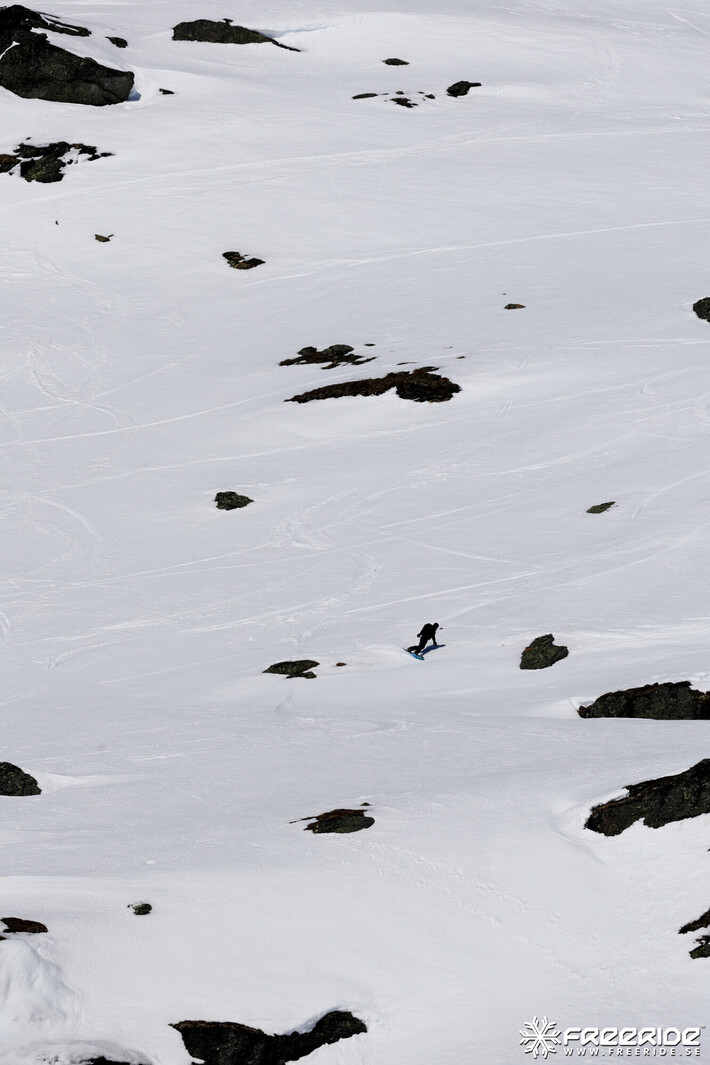 Bild från Ride the Cow 2026