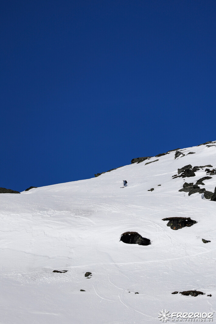 Bild från Ride the Cow 2026