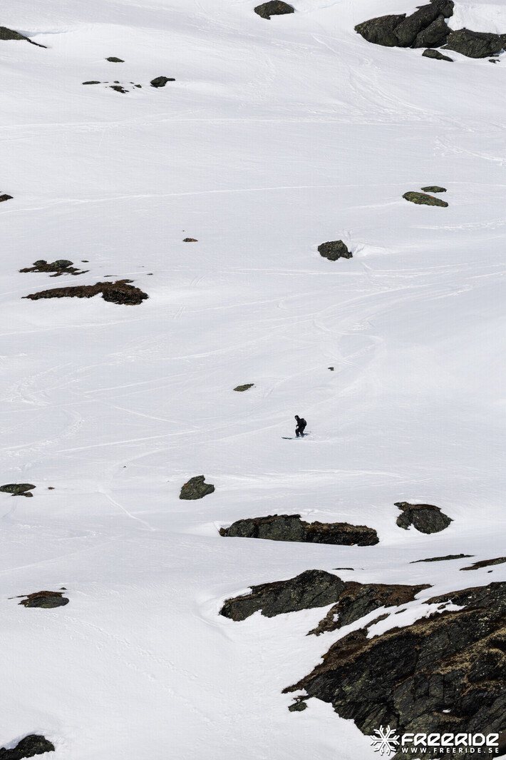 Bild från Ride the Cow 2026