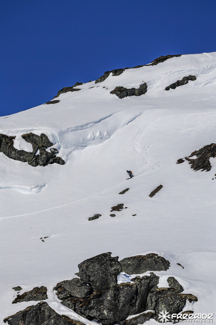 Bild från Ride the Cow 2026