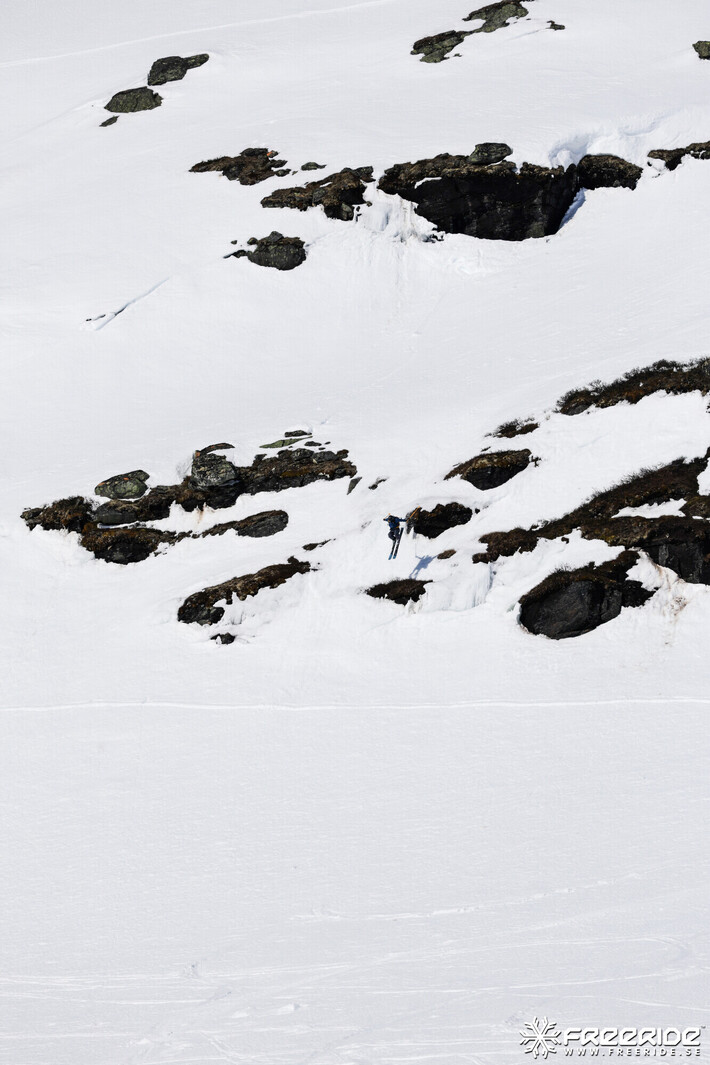 Bild från Ride the Cow 2026