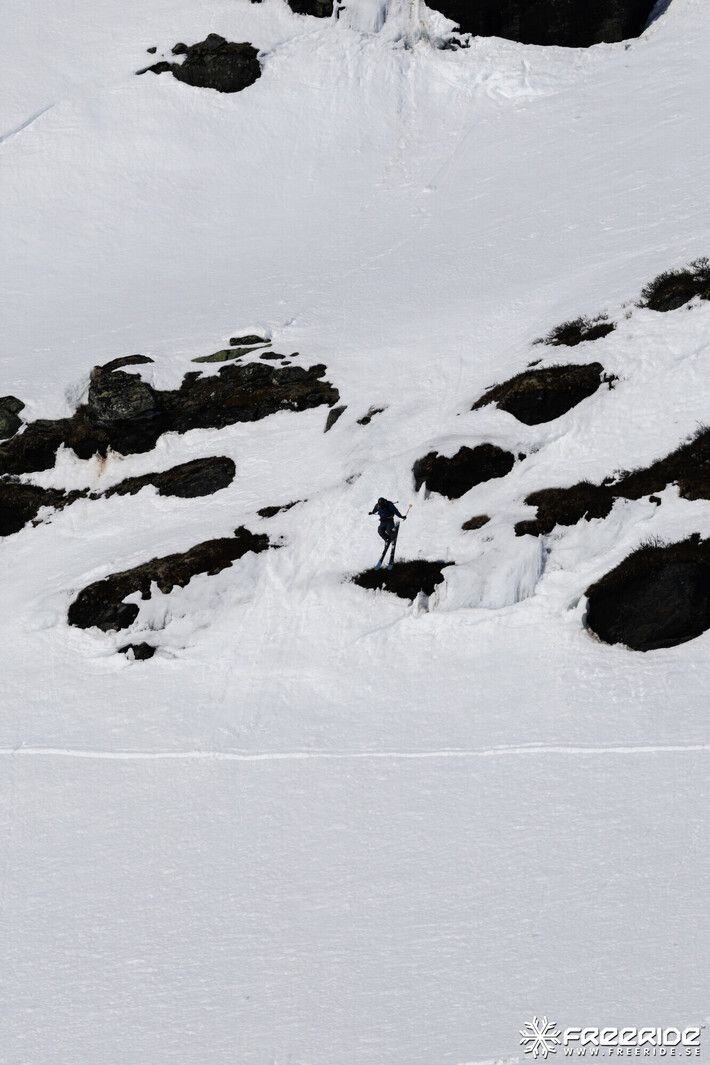 Bild från Ride the Cow 2026