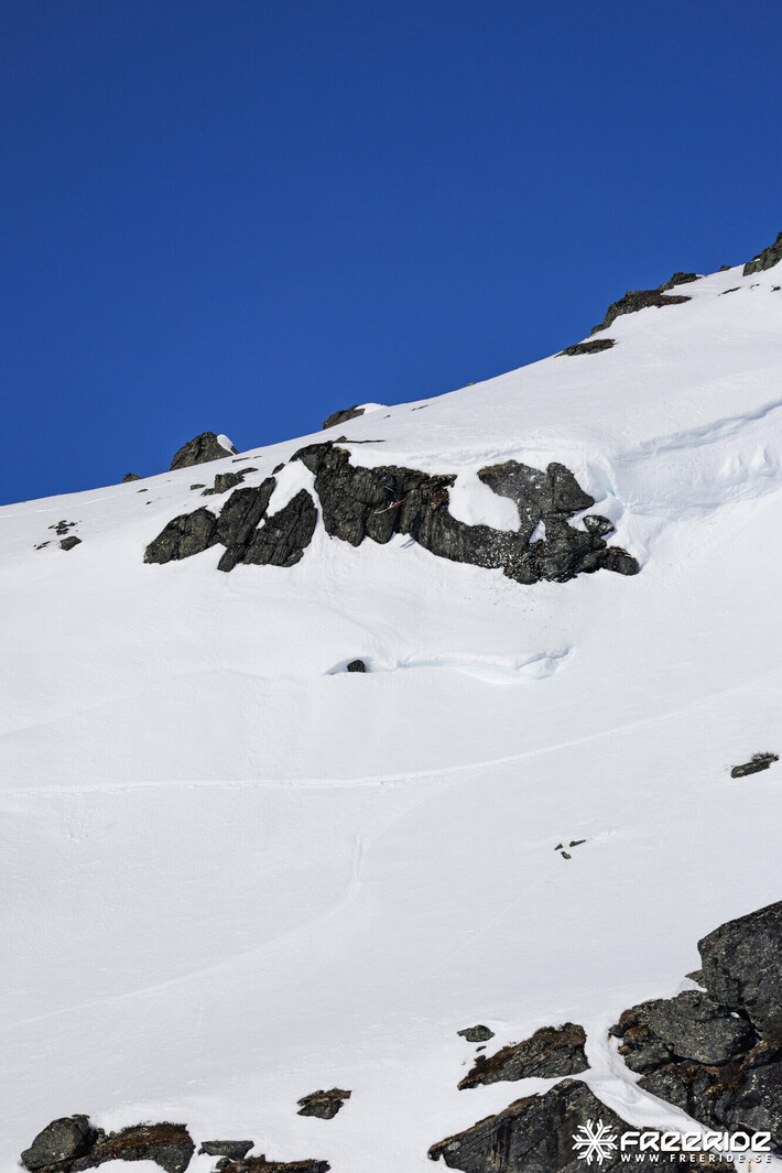 Bild från Ride the Cow 2026