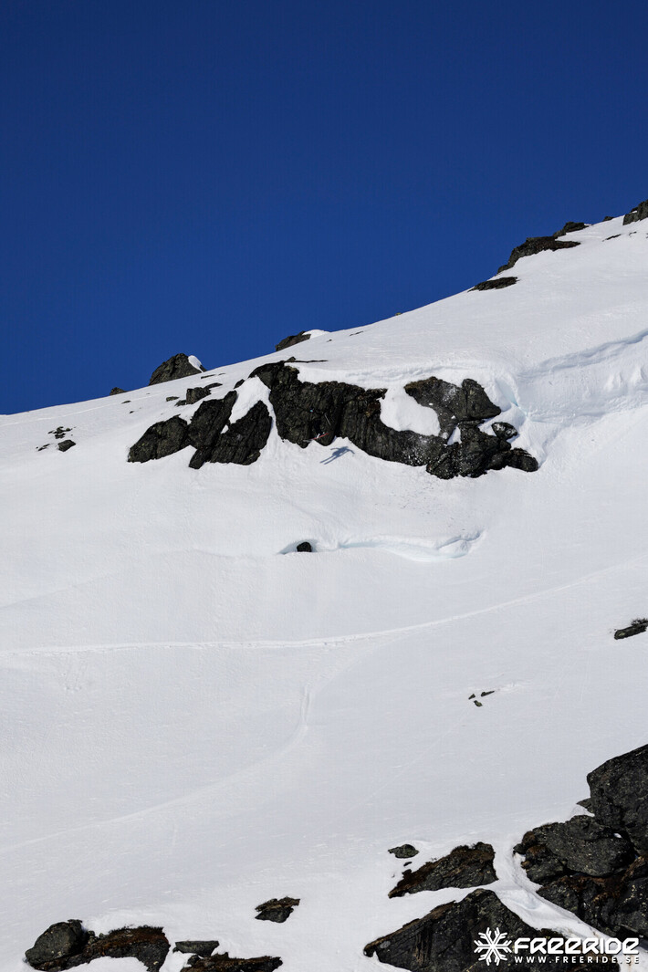 Bild från Ride the Cow 2026