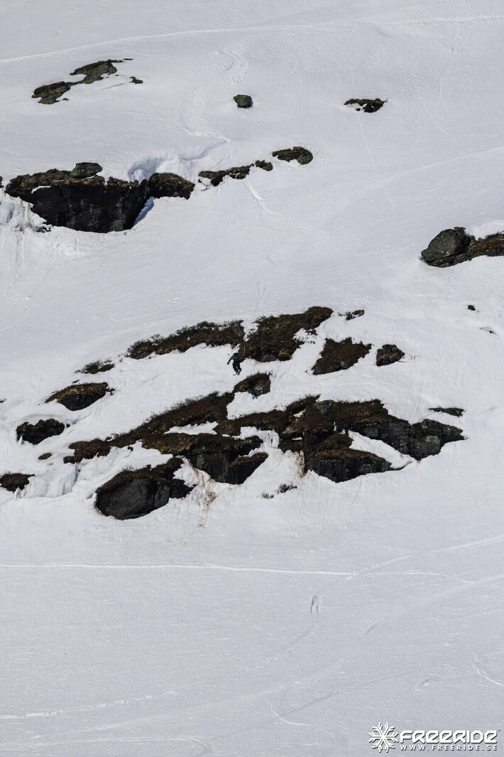 Bild från Ride the Cow 2026