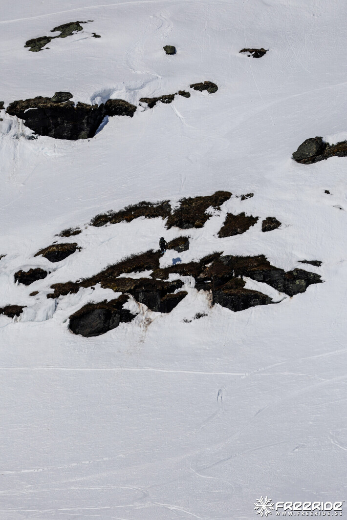 Bild från Ride the Cow 2026