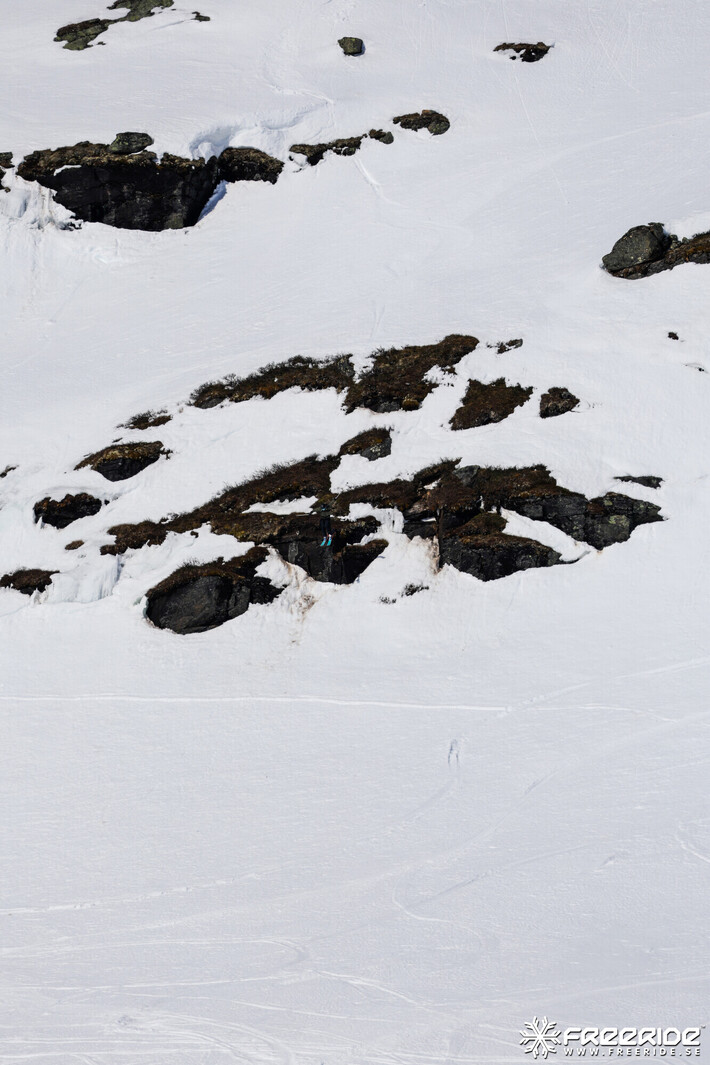 Bild från Ride the Cow 2026