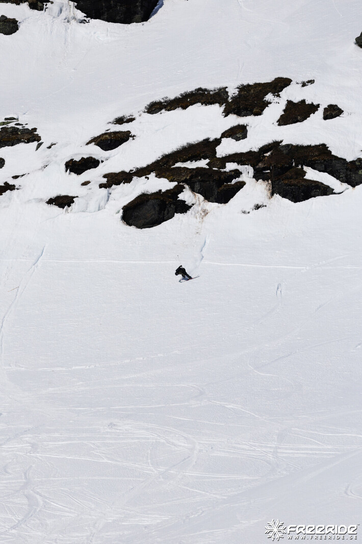 Bild från Ride the Cow 2026