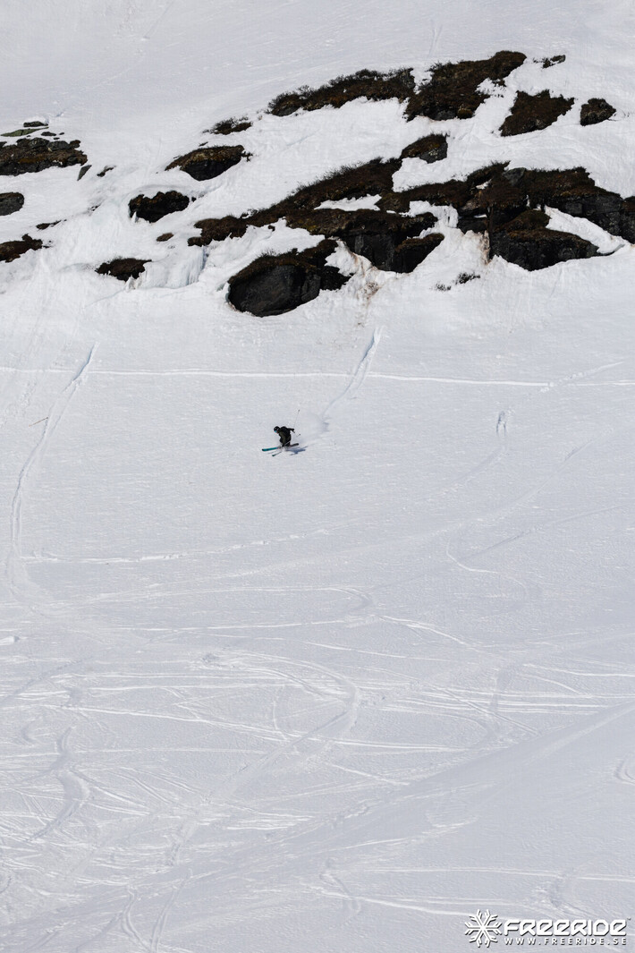 Bild från Ride the Cow 2026