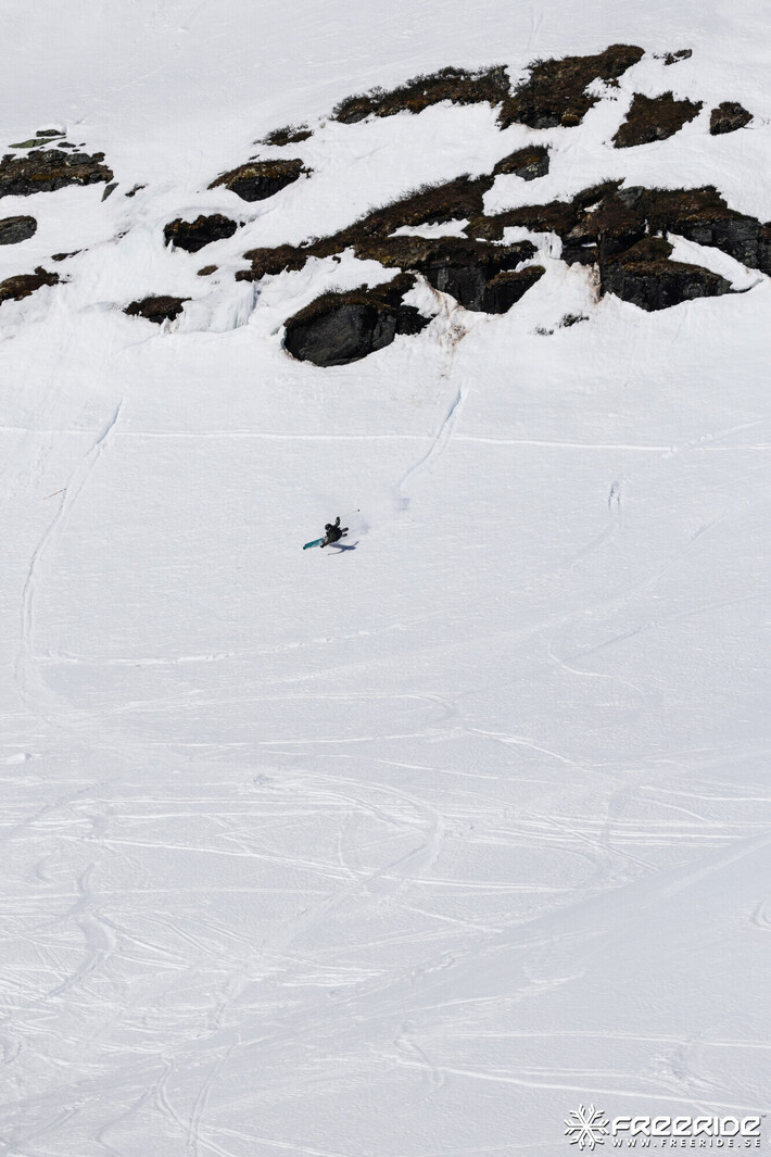 Bild från Ride the Cow 2026