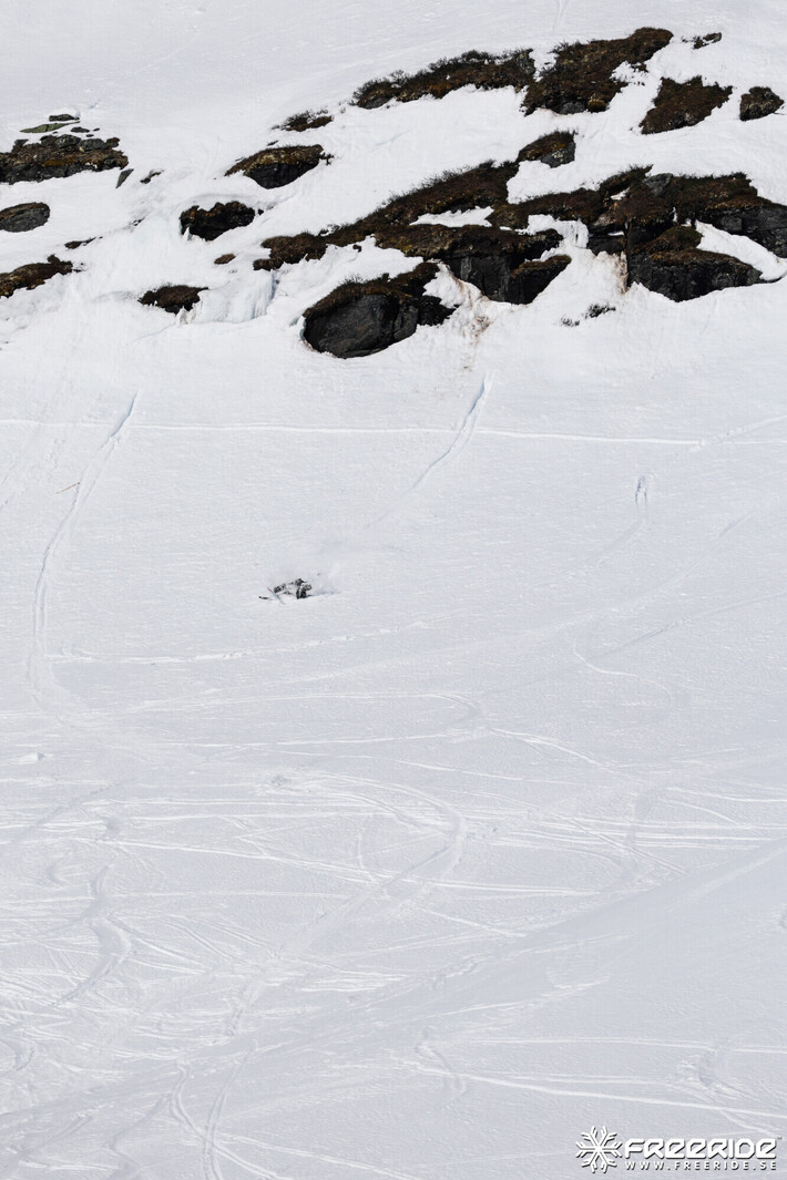 Bild från Ride the Cow 2026