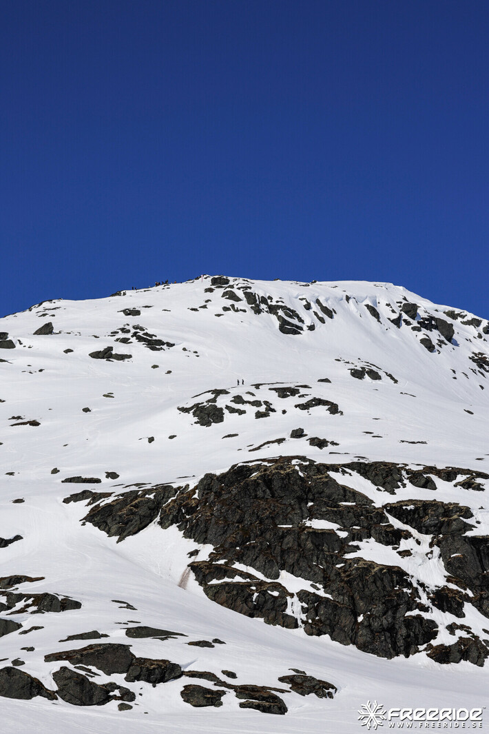 Bild från Ride the Cow 2026