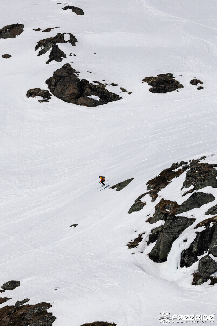 Bild från Ride the Cow 2026