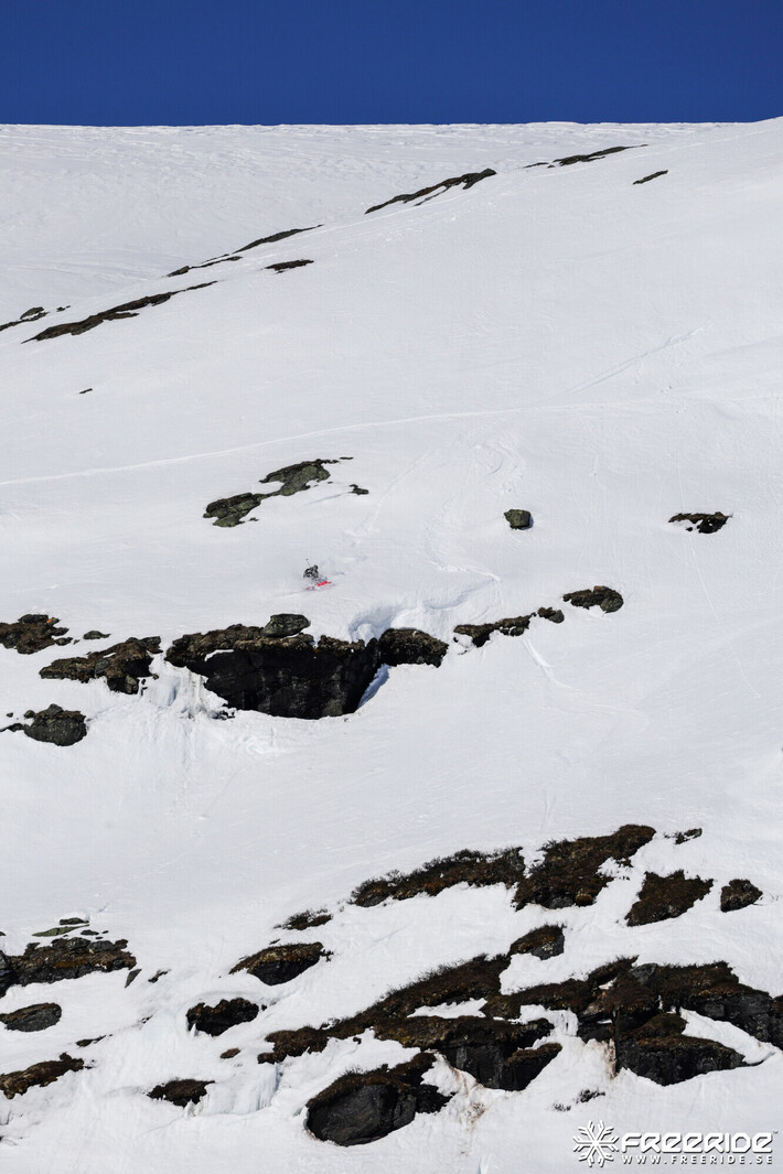 Bild från Ride the Cow 2026