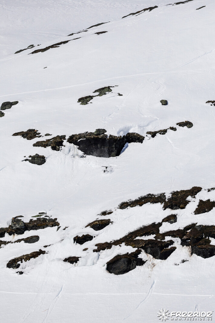 Bild från Ride the Cow 2026