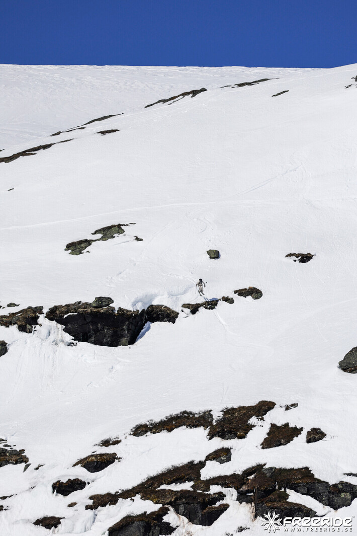 Bild från Ride the Cow 2026