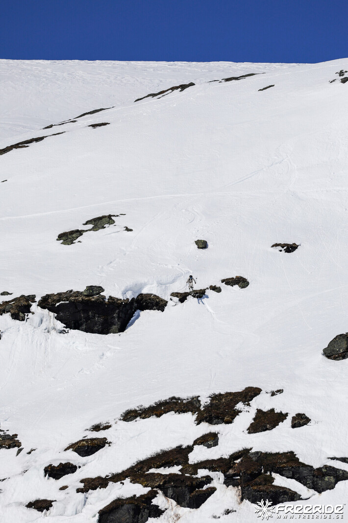 Bild från Ride the Cow 2026