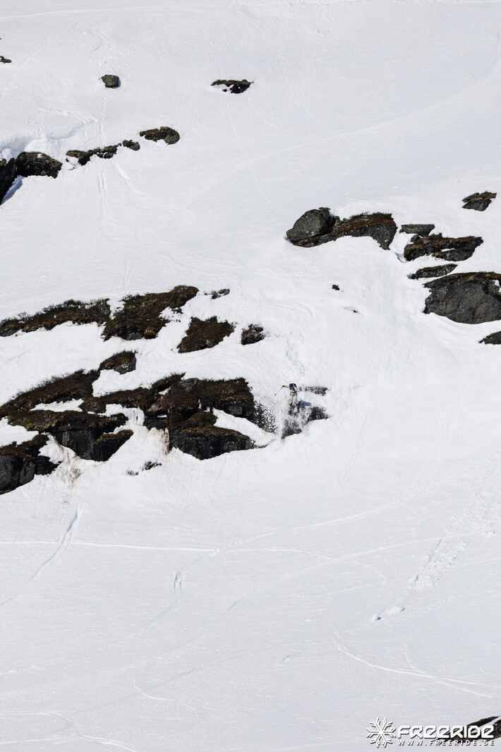 Bild från Ride the Cow 2026