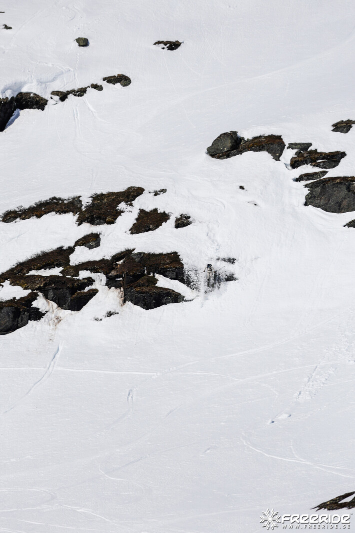 Bild från Ride the Cow 2026