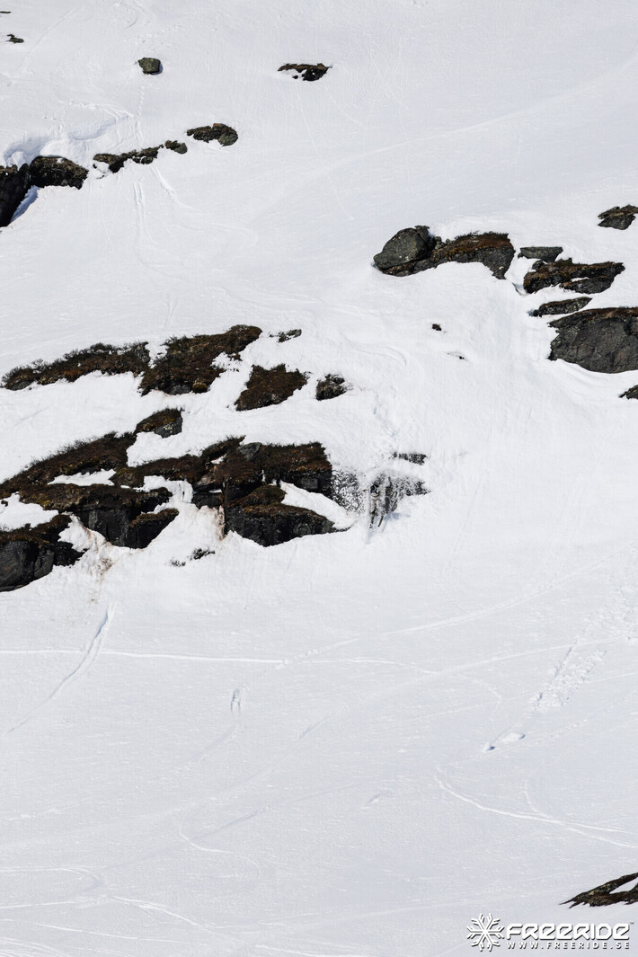 Bild från Ride the Cow 2026