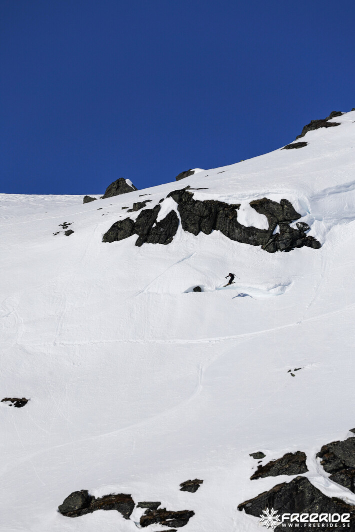 Bild från Ride the Cow 2026