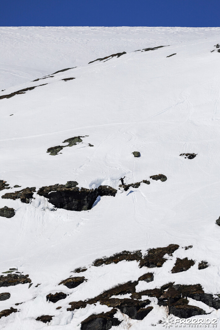 Bild från Ride the Cow 2026