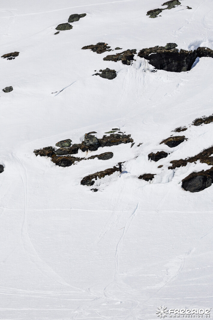 Bild från Ride the Cow 2026