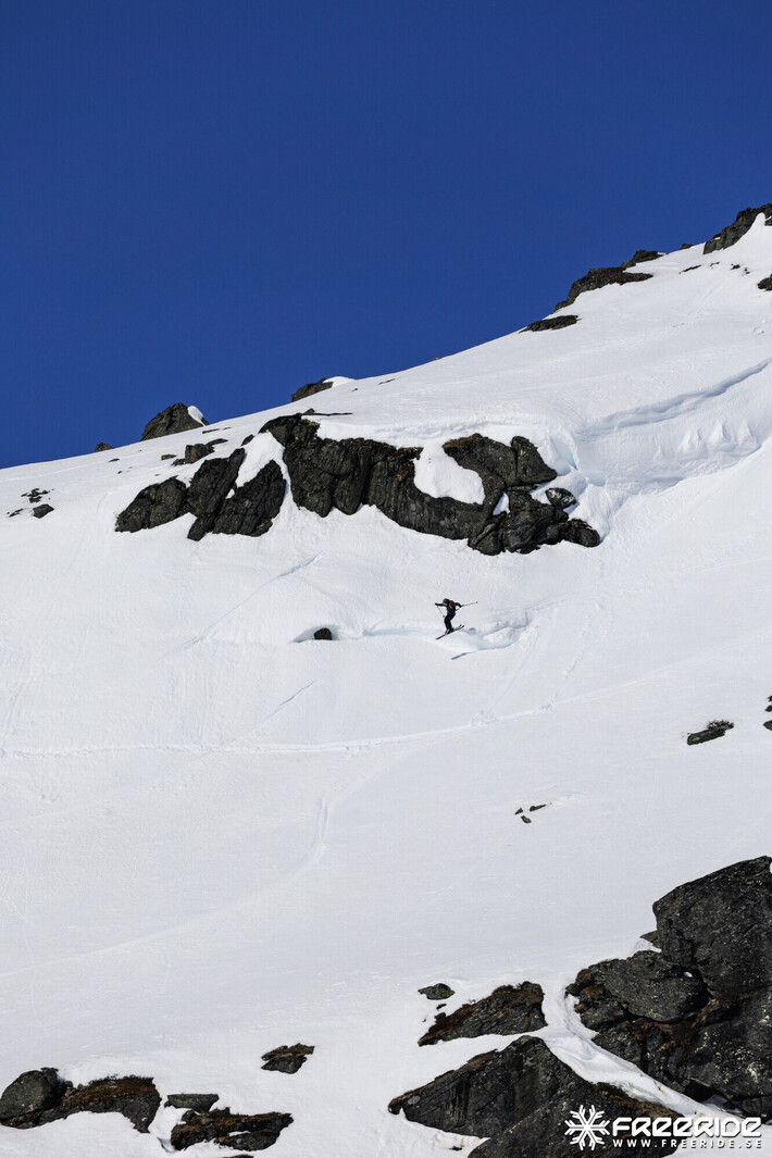 Bild från Ride the Cow 2026