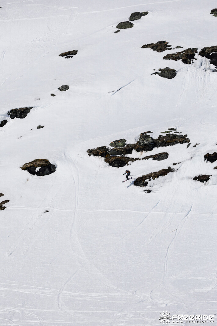 Bild från Ride the Cow 2026