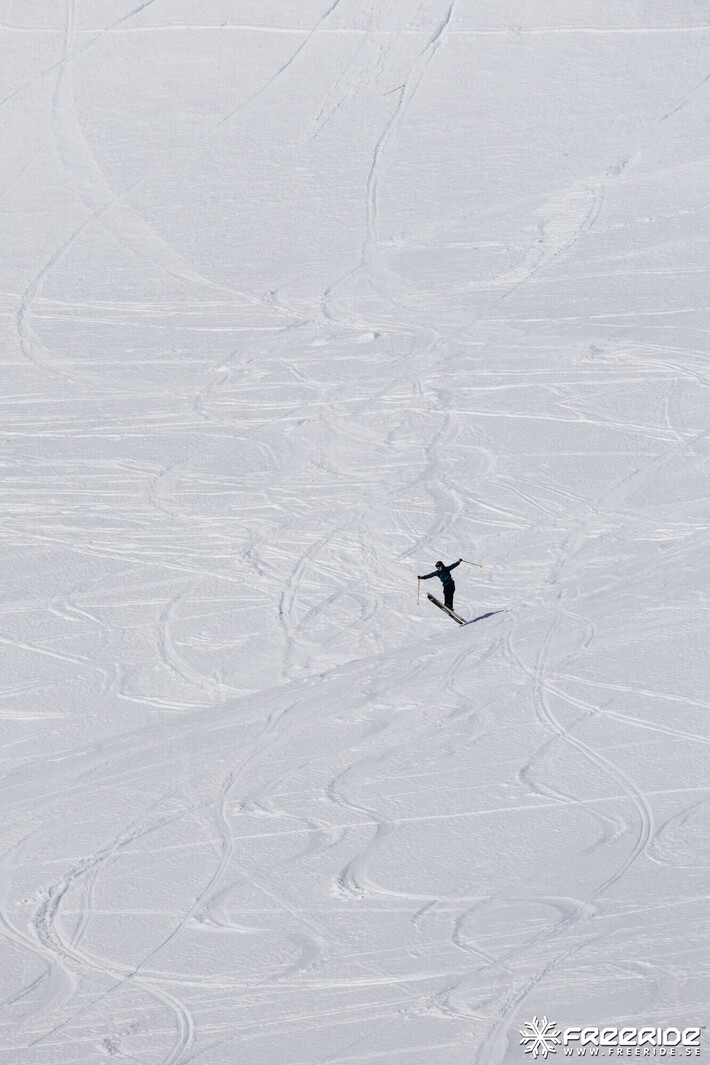 Bild från Ride the Cow 2026