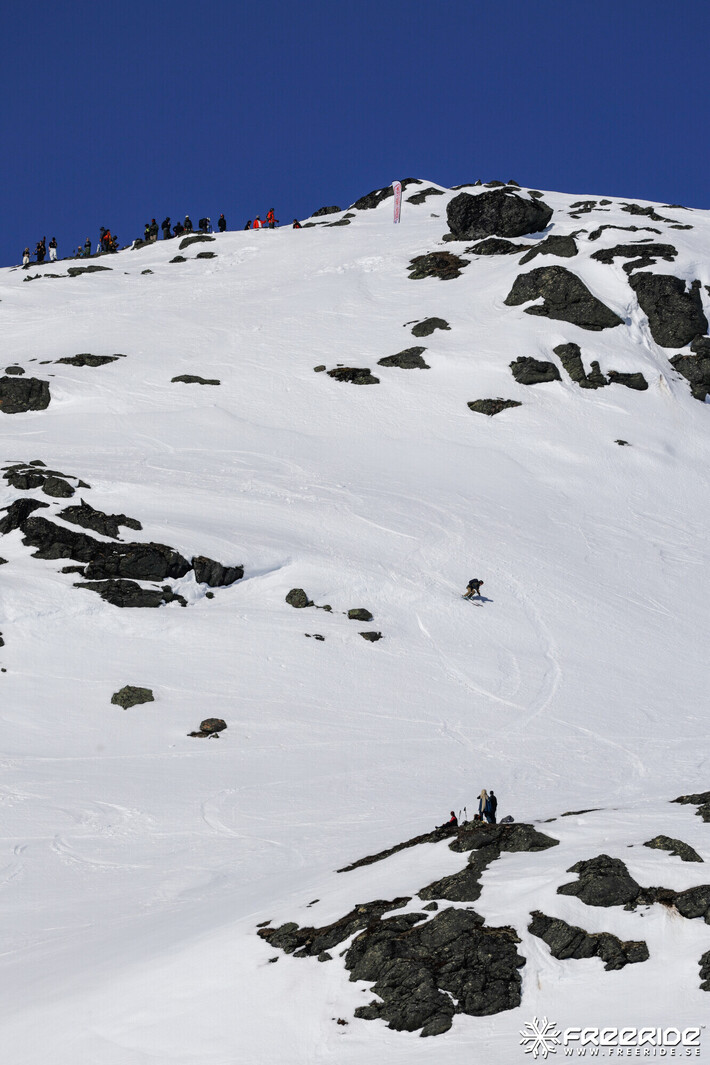 Bild från Ride the Cow 2026