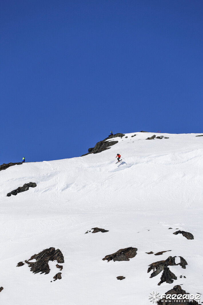 Bild från Ride the Cow 2026